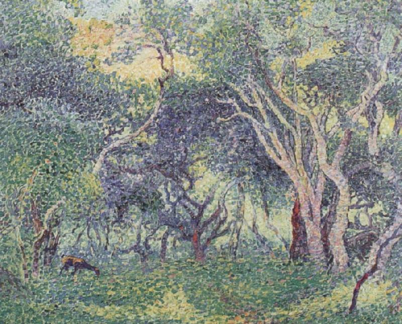 Undergowth, Henri Edmond Cross